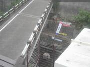 国分寺