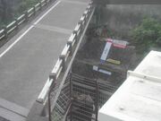 国分寺