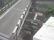 国分寺