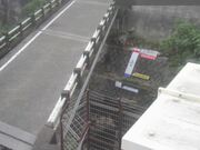 国分寺