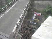 監視画像
