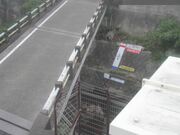 監視画像