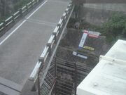 監視画像