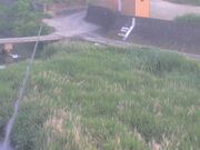 2025-05-20 06:00:00 +0900