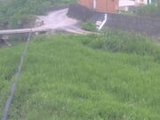 滝宮