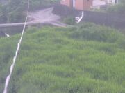 滝宮