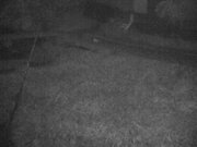 2025-11-15 06:00:00 +0900