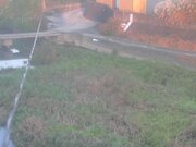 2025-11-15 07:00:00 +0900