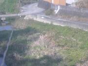 2025-11-20 10:00:00 +0900