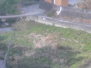 2025-11-20 11:00:00 +0900