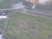 2025-11-20 12:00:00 +0900