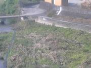 2025-11-20 14:00:00 +0900