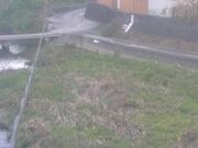 2025-11-20 15:00:00 +0900