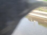 監視画像