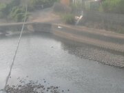 滝宮