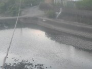 滝宮