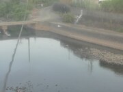 滝宮