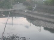 滝宮