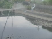 滝宮