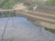 滝宮