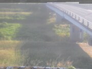 鴨川新橋
