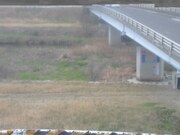 2026-03-22 11:00:00 +0900