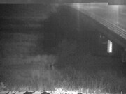 2026-06-21 02:00:00 +0900