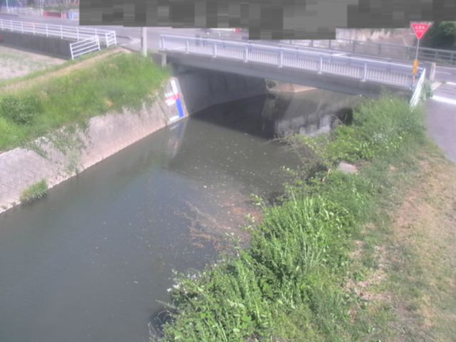 監視画像