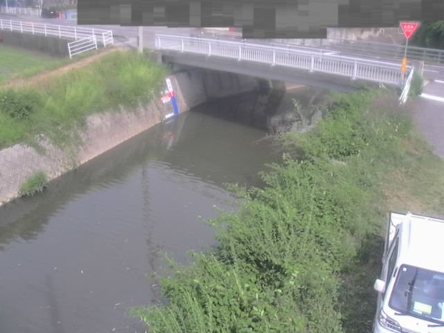 拡大画像