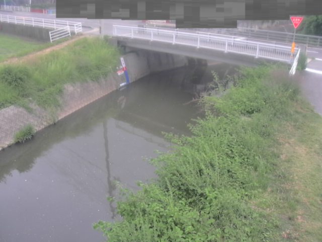 拡大画像