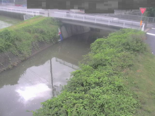 拡大画像