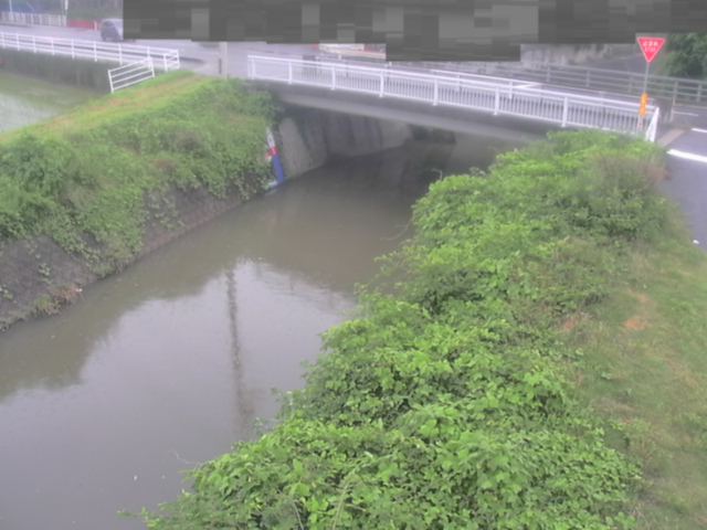 拡大画像