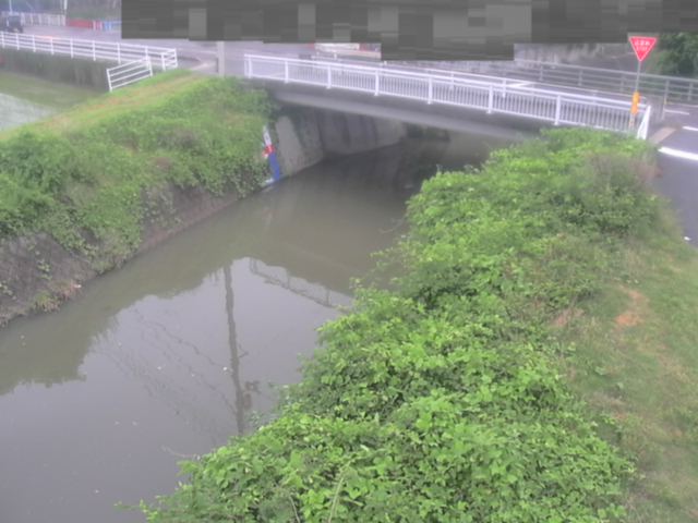拡大画像