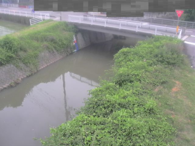 拡大画像