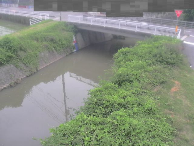 拡大画像