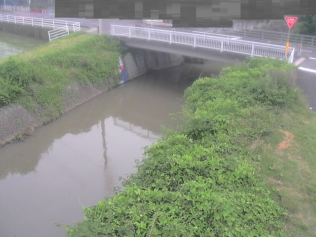 監視画像