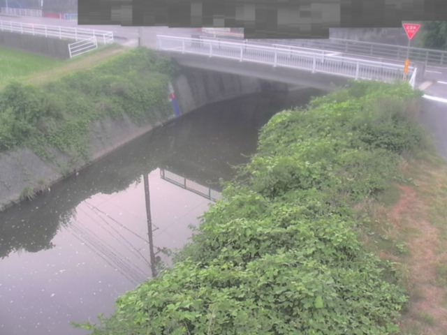 監視画像