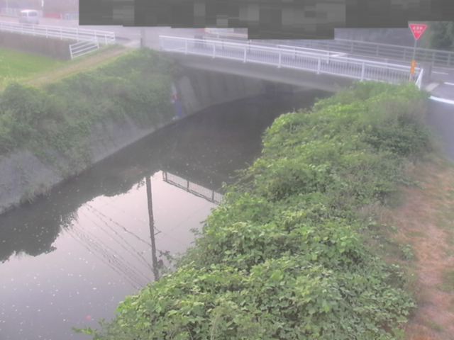 拡大画像