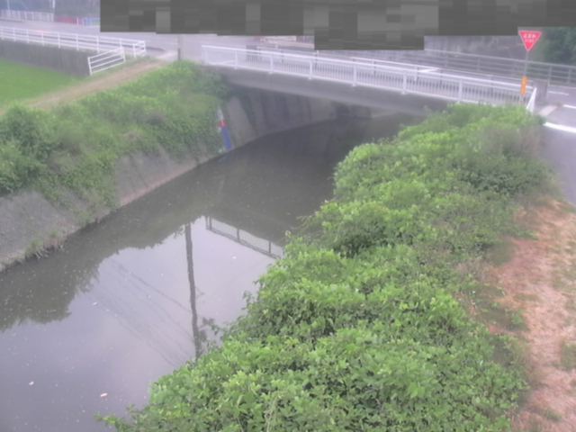 拡大画像