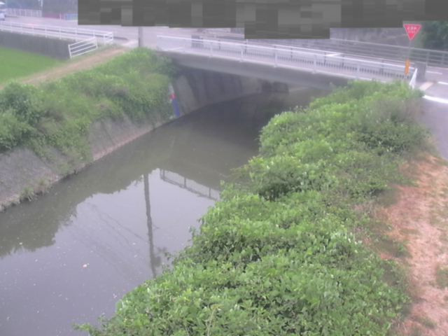 拡大画像