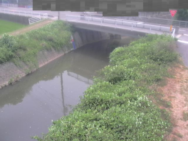 監視画像