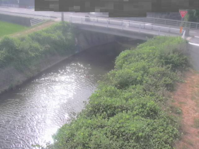 監視画像