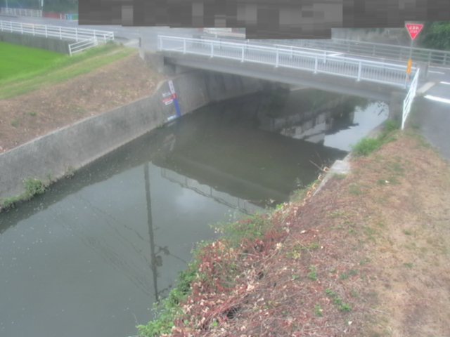 拡大画像