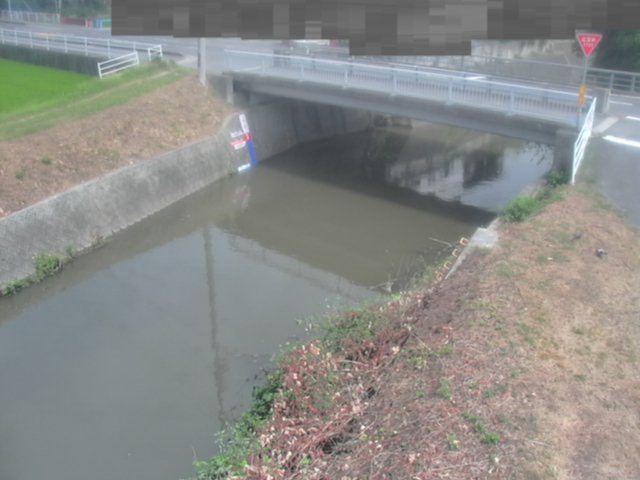拡大画像