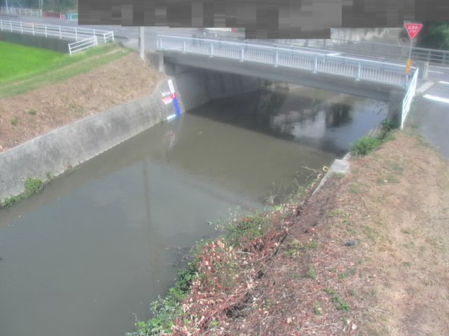 監視画像