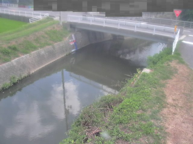 拡大画像