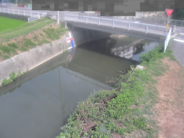 拡大画像