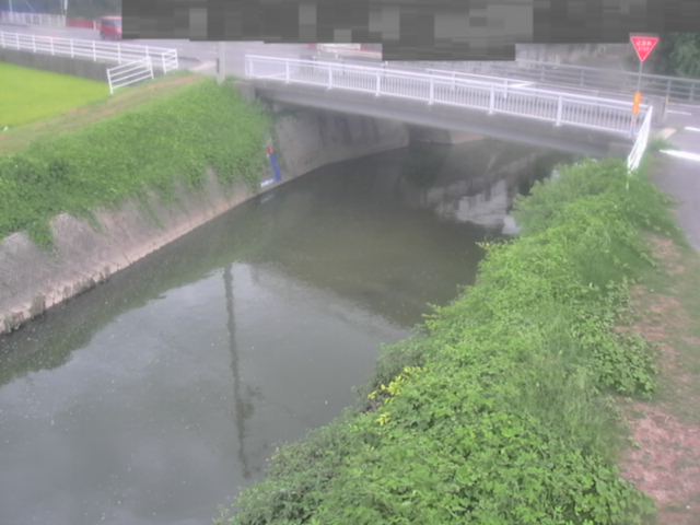 拡大画像