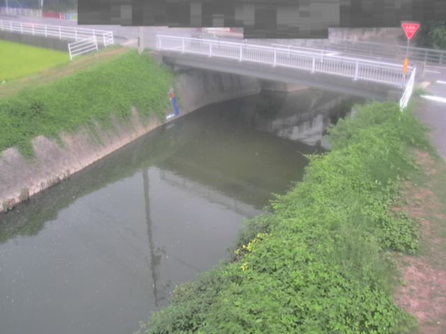 監視画像