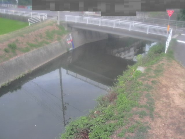 監視画像